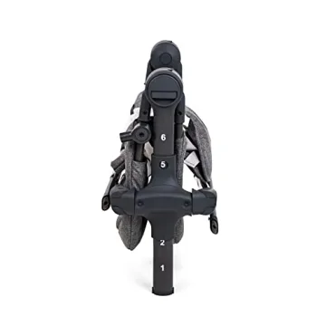 Baby Delight Bloom Baby Seat - Adjustable & Portable