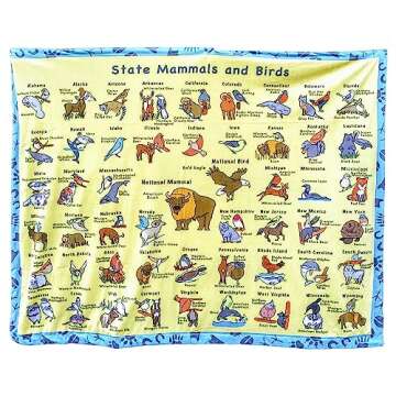 Birdy Boutique Double Sided Learning Blanket - 50 States - Cozy Soft Minky - Learning Fun for Early ...