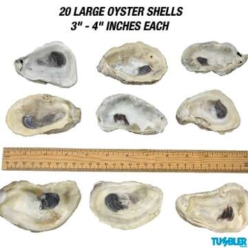 20 Rough Oyster Shells for Arts & Crafts - DIY Decor, Beach Jewelry & More