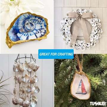 Rough Oyster Shells for Crafts - 20PCS Large DIY Shells