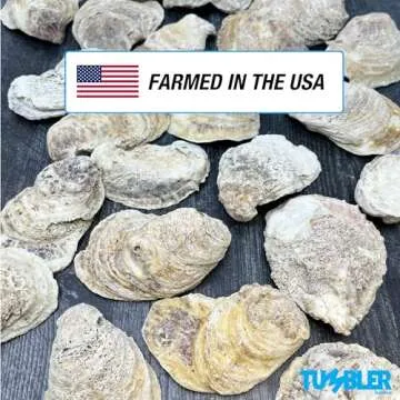 Rough Oyster Shells for Crafts - 20PCS Large DIY Shells