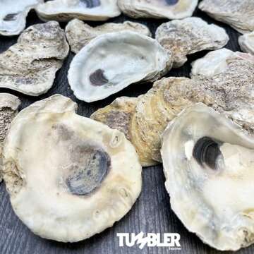 Rough Oyster Shells for Crafts - 20PCS Large DIY Shells