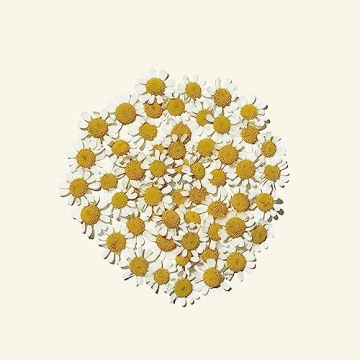 Aveeno Foaming Cleanser for Sensitive Skin 6 Oz