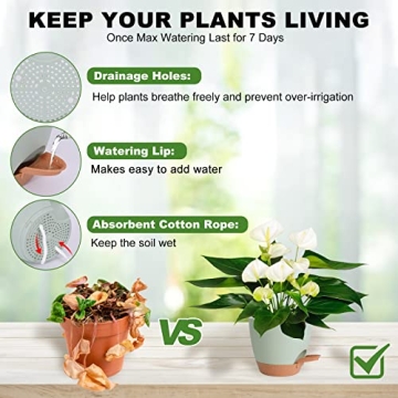 Vanslogreen Self Watering Plant Pots for Indoor Use