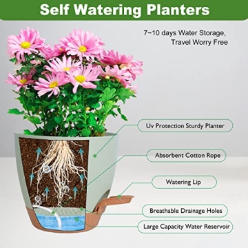 Vanslogreen Self Watering Plant Pots for Indoor Use