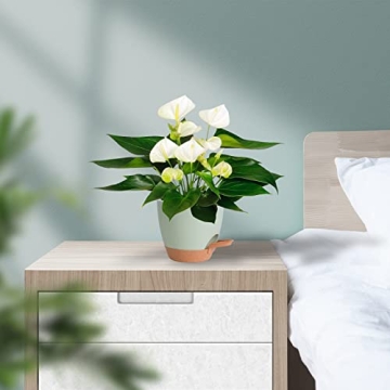 Vanslogreen Self Watering Plant Pots for Indoor Use