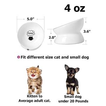 Y YHY Cat Bowl Anti Vomiting, Raised Food Bowls, Tilted Elevated Bowl, Ceramic Pet Food Bowl for Fla...