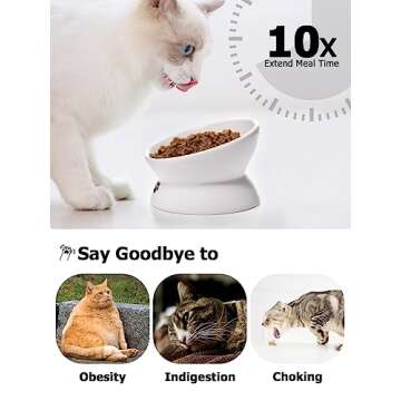 Y YHY Cat Bowl Anti Vomiting, Raised Food Bowls, Tilted Elevated Bowl, Ceramic Pet Food Bowl for Flat Faced Cats, Small Dogs, Protect Pet's Spine, Dishwasher Safe (5 Inches, White)