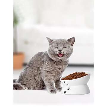 Y YHY Cat Bowl Anti Vomiting, Raised Food Bowls, Tilted Elevated Bowl, Ceramic Pet Food Bowl for Flat Faced Cats, Small Dogs, Protect Pet's Spine, Dishwasher Safe (5 Inches, White)