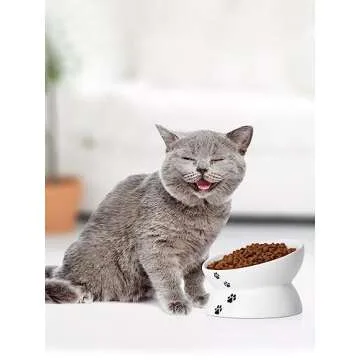 Y YHY Elevated Ceramic Pet Food Bowls for Cats