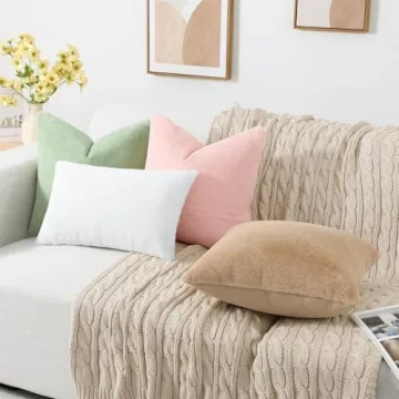 Pallene Faux Fur Plush Throw Pillows Set of 2