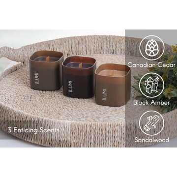 Set of 3 Scented Soy Candles Gift Set | Dusk to Dawn Collection | 3 Scented Candles - Canadian Cedar, Black Amber, and Sandalwood | Crackling Wood Wick | Clean Burn | 50+HR Burn Time, 9.8oz Each