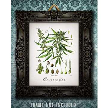 Cannabis - 11x14 Unframed Weed Posters Art Print - Cannabis Illustration, Dispensaries Decor and Marijuana Enthusiasts Gift, Makes Great Marijuana Decor and Stoner Decor Gift