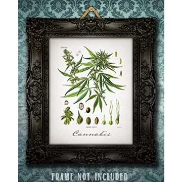 Cannabis - 11x14 Unframed Weed Posters Art Print - Cannabis Illustration, Dispensaries Decor and Marijuana Enthusiasts Gift, Makes Great Marijuana Decor and Stoner Decor Gift