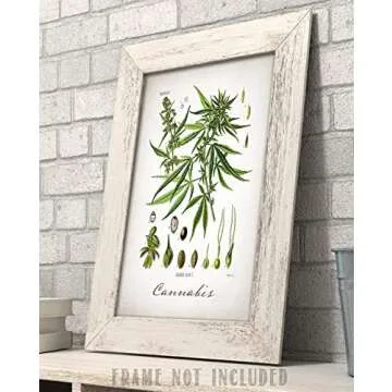 Cannabis - 11x14 Unframed Weed Posters Art Print - Cannabis Illustration, Dispensaries Decor and Marijuana Enthusiasts Gift, Makes Great Marijuana Decor and Stoner Decor Gift