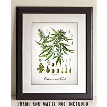 Cannabis - 11x14 Unframed Weed Posters Art Print - Cannabis Illustration, Dispensaries Decor and Marijuana Enthusiasts Gift, Makes Great Marijuana Decor and Stoner Decor Gift