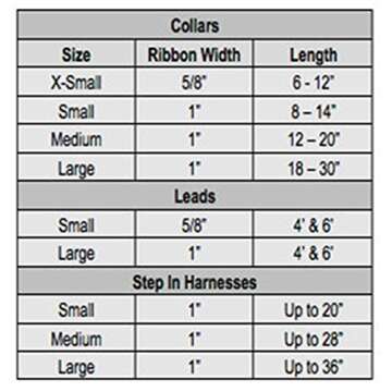 NCAA Auburn Tigers Dog Collar (Team Color, Medium)