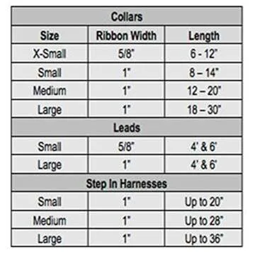 NCAA Auburn Tigers Dog Collar (Team Color, Medium)