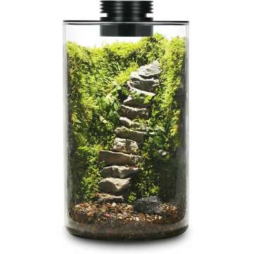 Stylish Desktop Glass Plant Terrarium with Grow Light, Perfect for Succulents & More