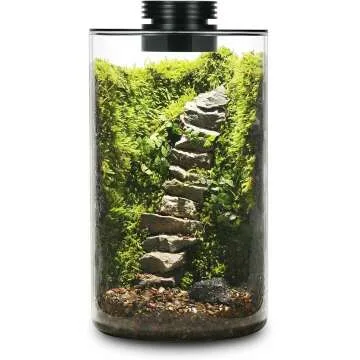Desktop Glass Plant Terrarium with Grow Light
