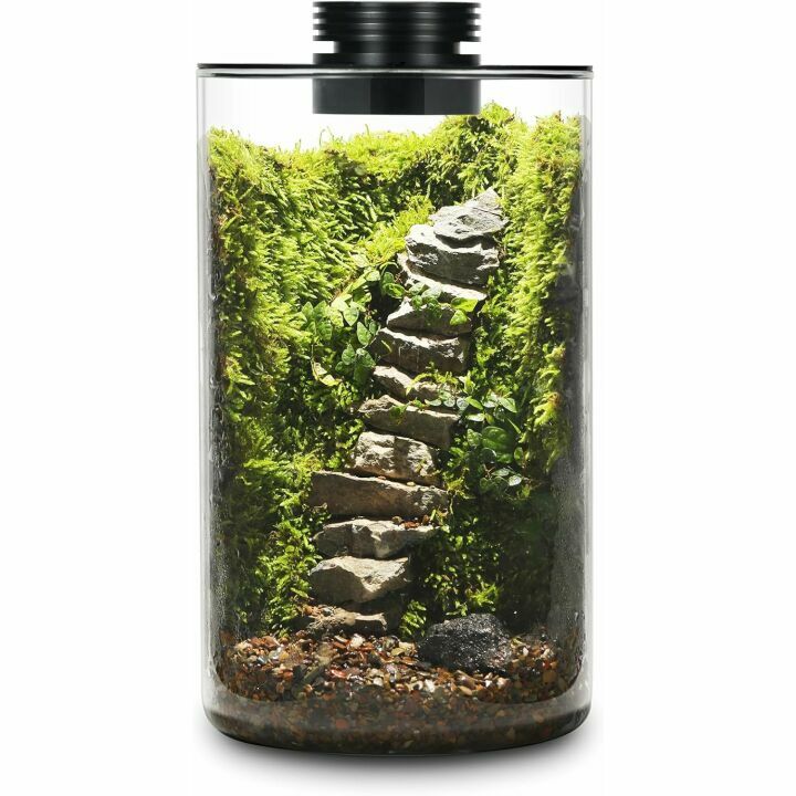 Desktop Glass Plant Terrarium with Grow Light