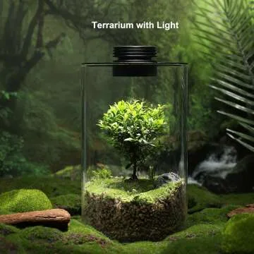 Desktop Glass Plant Terrarium with Grow Light