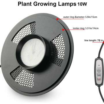 Desktop Glass Plant Terrarium with Grow Light