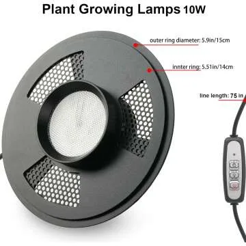 Desktop Glass Plant Terrarium with Grow Light