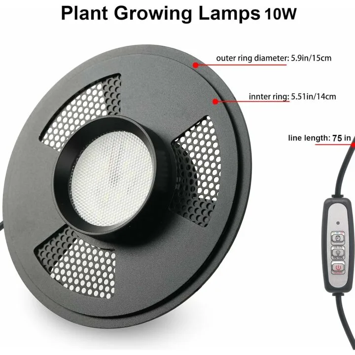 Desktop Glass Plant Terrarium with Grow Light