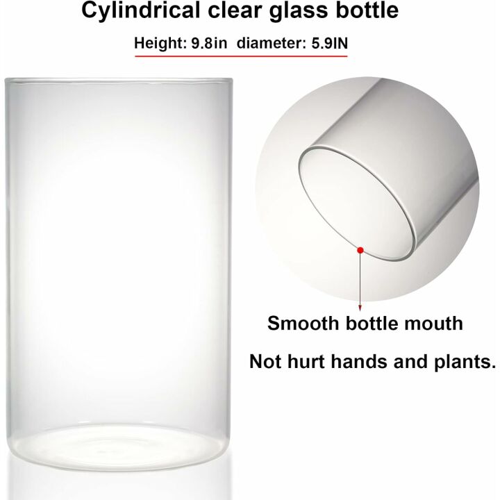 Desktop Glass Plant Terrarium with Grow Light