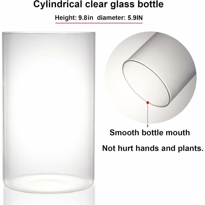 Desktop Glass Plant Terrarium with Grow Light