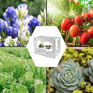 GROWSTAR LED Indoor Herb Garden Light Kit, Full Spectrum LED Plant Light with Timer and Dimmer, Home Mini Grow System for Veg, Succulents, Room Atmosphere, Decoration Gift, DC 12V Safe Output