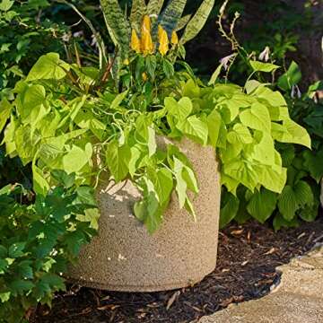 PolyStone Baja Modern Outdoor/Indoor Round Planter,23" L x 23" W x 19" H, Lightweight, Heavy Duty, Weather Resistant, Polymer Finish, Commercial Grade and Residential, Drain Hole (Sandstone Granite)