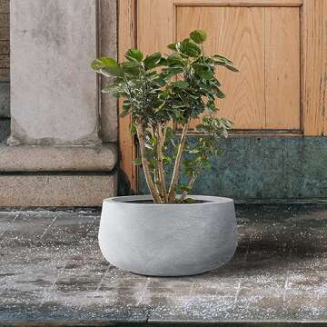 Kante 11.8" Dia Round Concrete Planter, Cement Plant Pots with Drainage Hole and Rubber Plug for Outdoor Indoor Garden Home, Modern Curvaceous Design, Gray