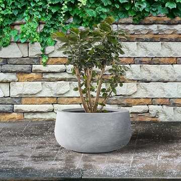 Kante 11.8" Dia Round Concrete Planter, Cement Plant Pots with Drainage Hole and Rubber Plug for Outdoor Indoor Garden Home, Modern Curvaceous Design, Gray