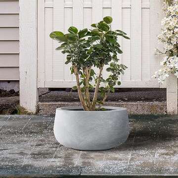 Kante 11.8" Dia Round Concrete Planter, Cement Plant Pots with Drainage Hole and Rubber Plug for Outdoor Indoor Garden Home, Modern Curvaceous Design, Gray