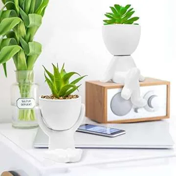 Cute Faux Succulent Planters - Fun and Decorative Accents