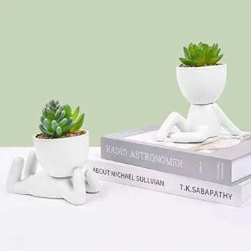 Cute Faux Succulent Planters - Fun and Decorative Accents