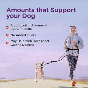 Nutri-Vet Pre and Probiotic Soft Chews for Dogs | Digestive Health Support | Tasty Alternative to Probiotic Powder | 120 Soft Chews