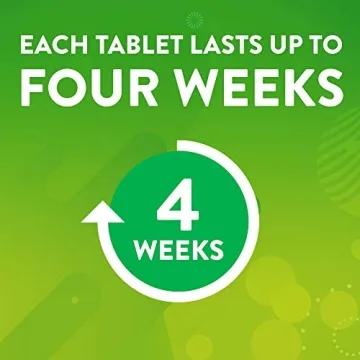 Scrubbing Bubbles Toilet Tablets 4 Weeks Stain Protection