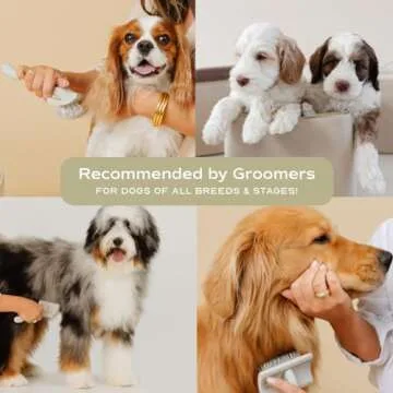 pupwell Slicker Brush for Professional and Luxury Dog Grooming to Prevent Matting with Dense and Extra Long Stainless Steel Pins (Goldendoodles, Labradoodles, Poodles)