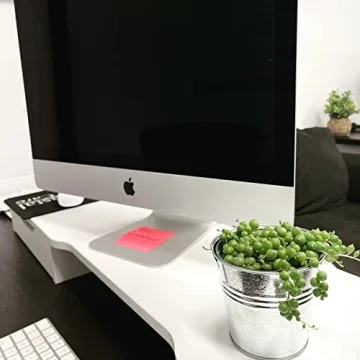 String of Pearls Live Plant for Unique Home and Office Decoration