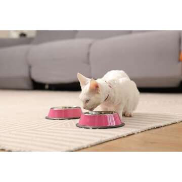 Podinor Stainless Steel Dog Bowls, Food and Water Non Slip Anti Skid Stackable Pet Puppy Dishes for Small, Medium and Large Dogs (2 Pack)