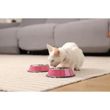 Podinor Stainless Steel Dog Bowls, Food and Water Non Slip Anti Skid Stackable Pet Puppy Dishes for Small, Medium and Large Dogs (2 Pack)