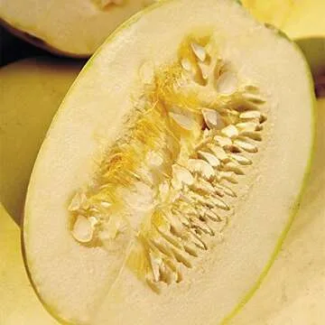 Organic Spaghetti Winter Squash Seeds for Home Gardens
