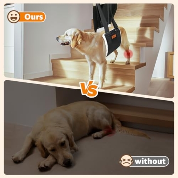 Adjustable Dog Lift Harness for Senior & Injured Dogs