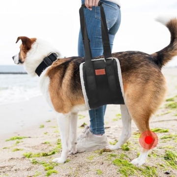 Adjustable Dog Lift Harness for Senior & Injured Dogs