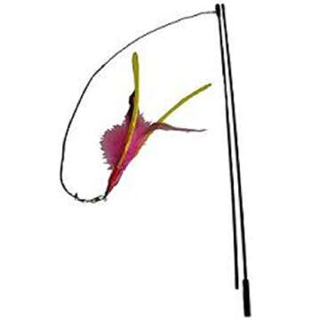 Da Bird Cat Toys - Choose Your Favorite Pull Apart