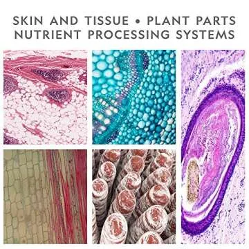 NATIONAL GEOGRAPHIC Kids Microscope Science Kit - Dual LED Microscope for Kids, Ultra Bright 20x & 50x Magnification, 35 Microscope Slides, Most Complete Microscope Kit for Kids 8-12, Biology for Kids