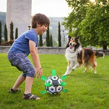 LOTMIAI Dog Soccer Ball Pet Toys Interactive Ball for Indoor Outdoor, Puppy Birthday Gifts Durable, Funny Dog Water Toy | Yard Game Toy to Keep Them Busy for Small Medium Dogs